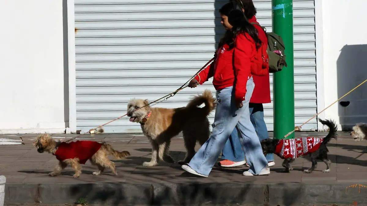 WhatsApp Image 2026-01-29 at 8.29.00 PM