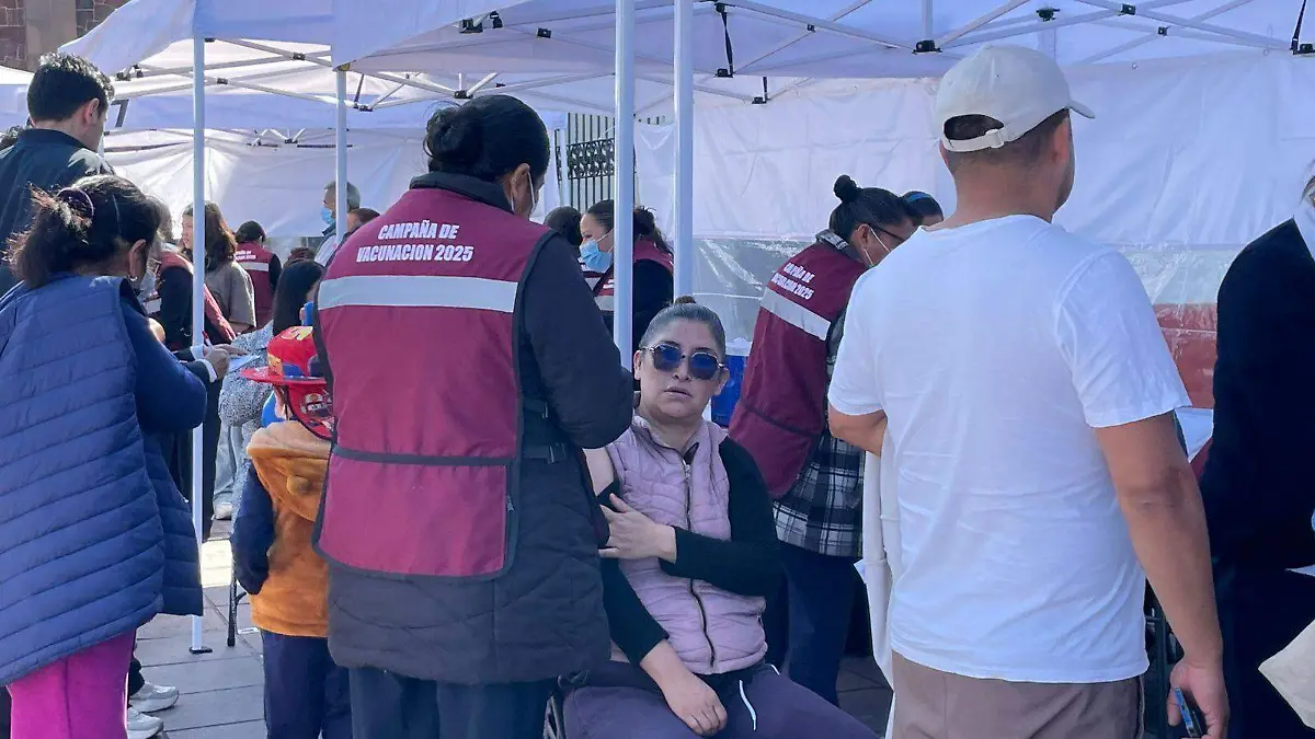 WhatsApp Image 2026-02-15 at 10.48.44