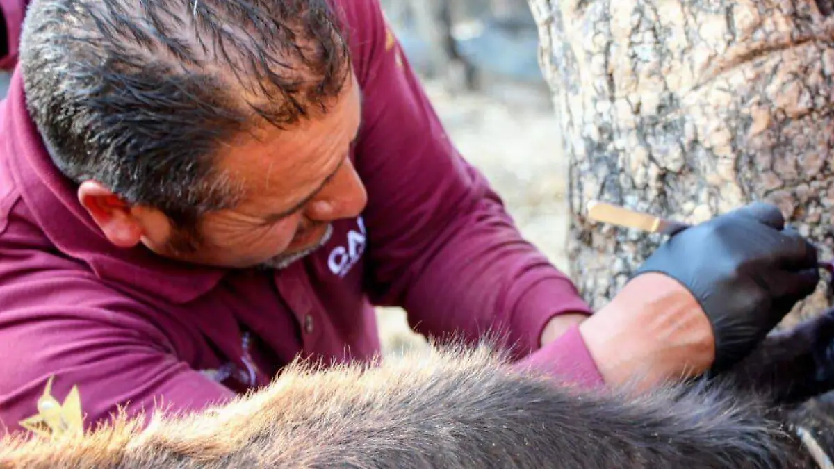 WhatsApp Image 2026-02-15 at 14.13.36