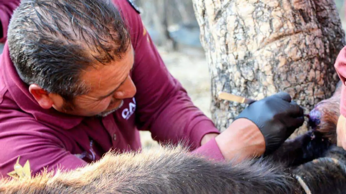 WhatsApp Image 2026-02-15 at 14.13.36