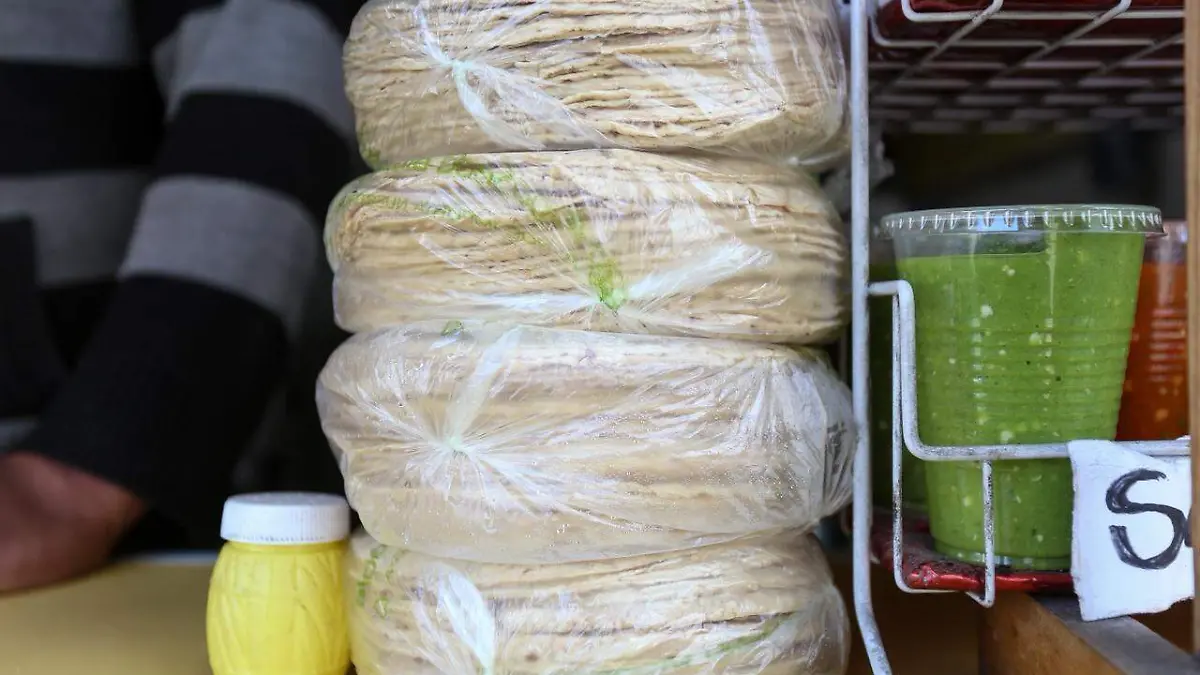 WhatsApp Image 2026-02-15 at 5.15.55 PM