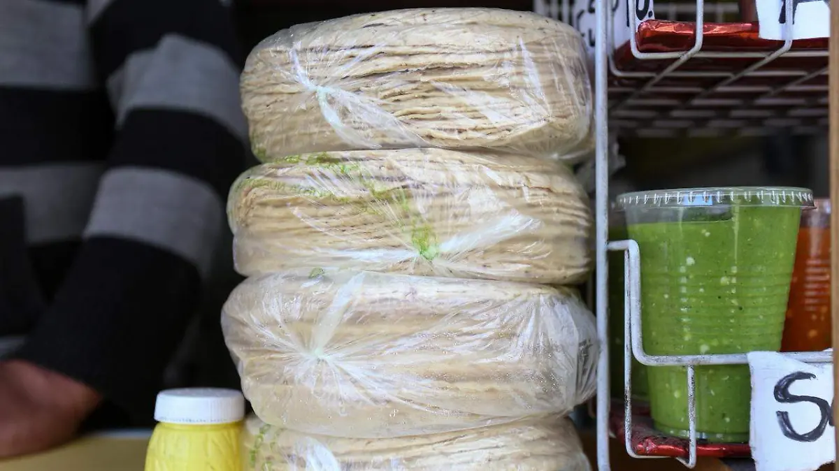 WhatsApp Image 2026-02-15 at 5.15.55 PM