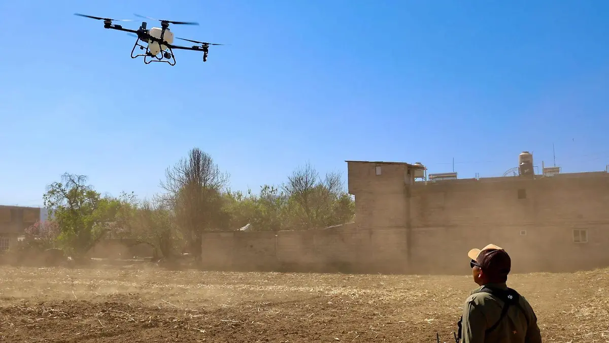 WhatsApp Image 2026-02-19 at 5.05.58 PM (3)