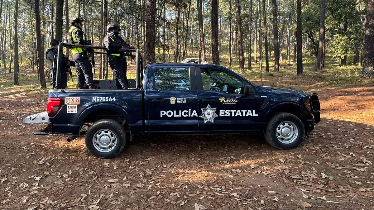 6c80113b-67bc-4ed2-bdc7-33a41604b0a0