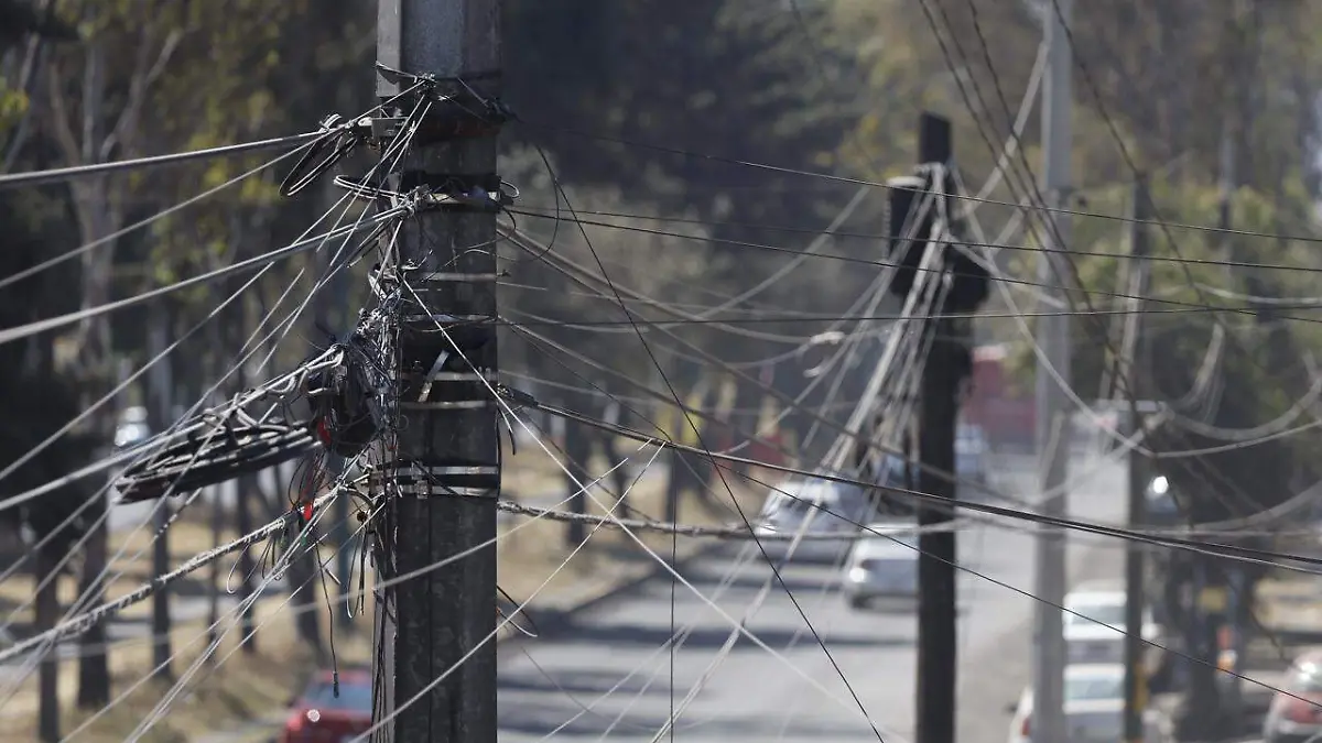 4d812849-4cea-4ae3-91c1-8b45c045f0b6