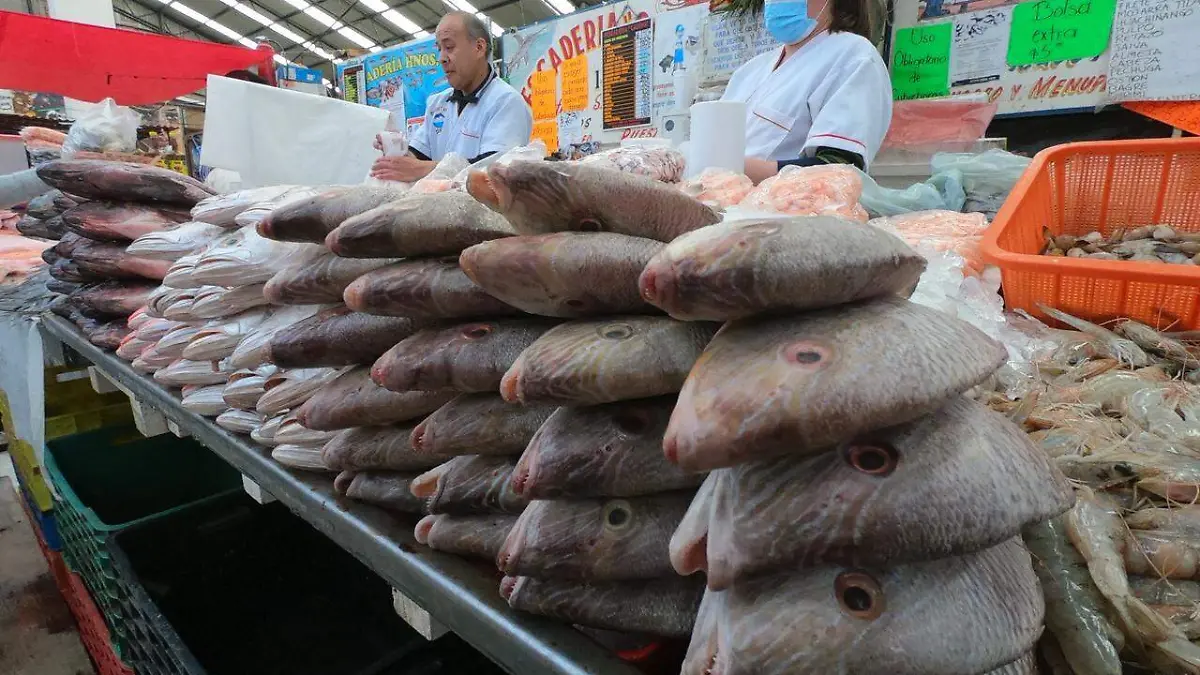 WhatsApp Image 2026-02-21 at 4.22.19 PM