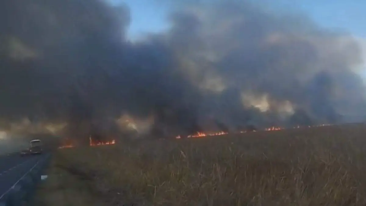 6b1df7b2-f947-4522-94fb-89a9434d86e8