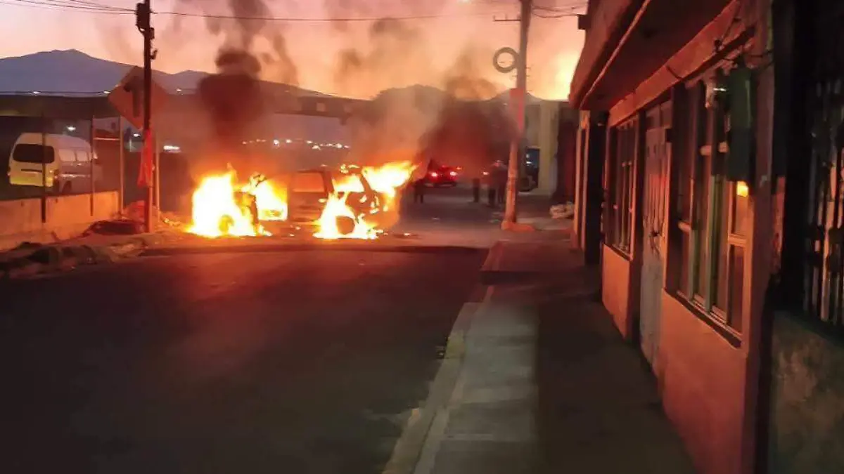 WhatsApp Image 2026-02-23 at 07.22.07