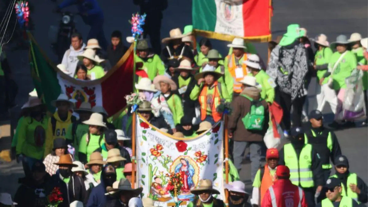 WhatsApp Image 2026-02-23 at 13.33.38