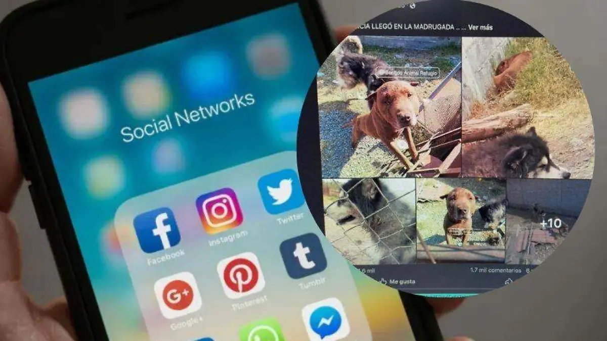 Diseño sin título