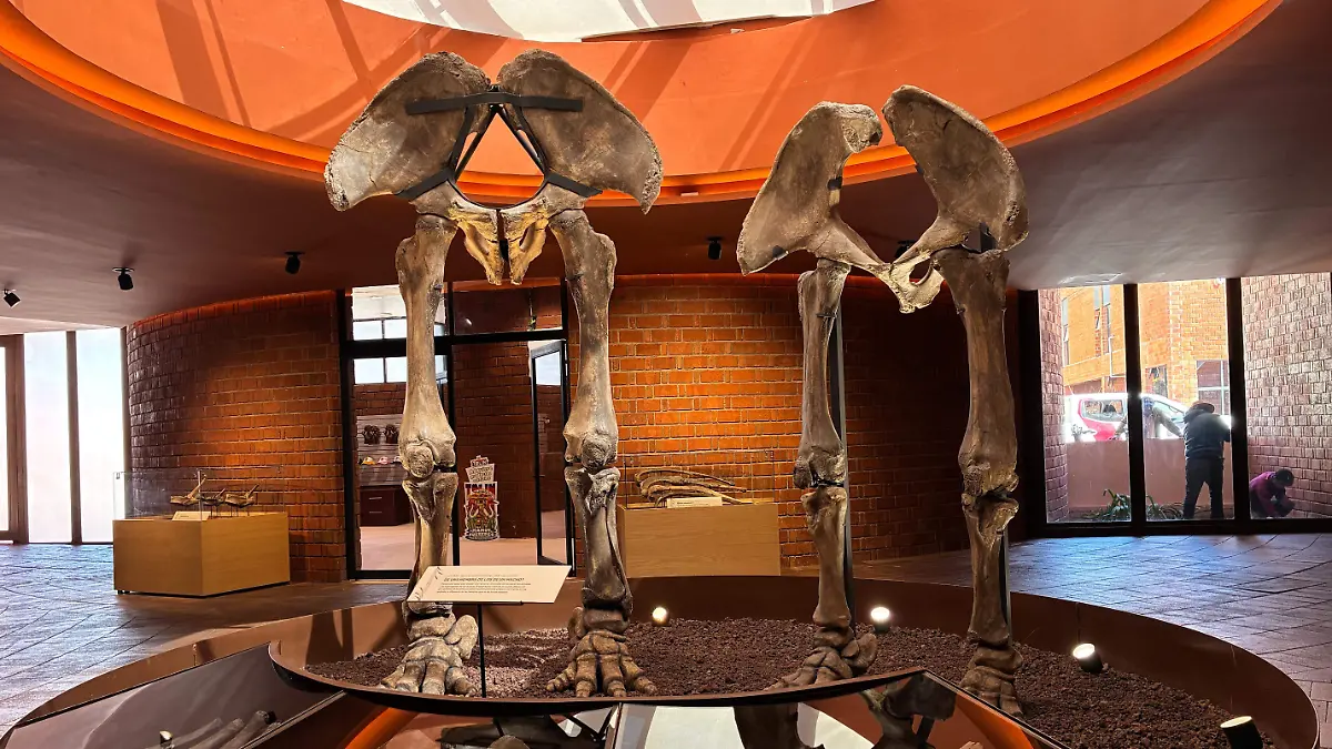 museo-mamut-tultepec