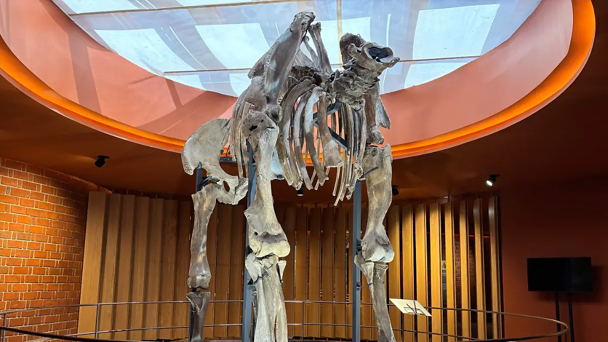 museo-mamut-tultepec