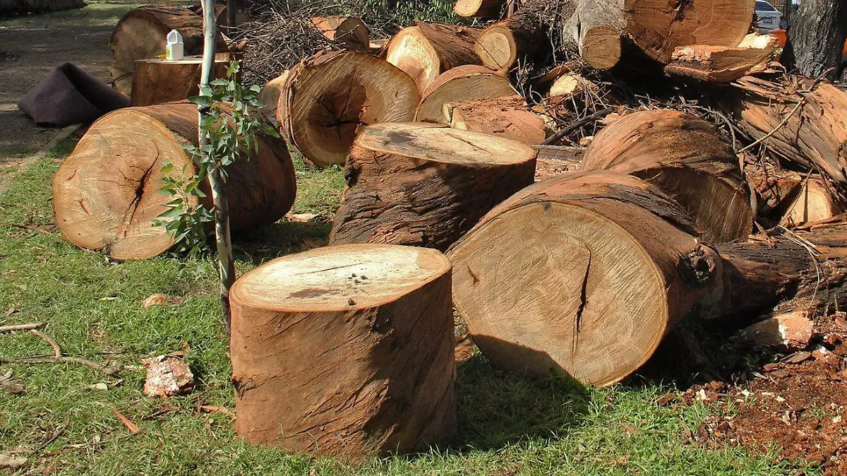 193cab17-e383-46ee-b638-5760e36624bb