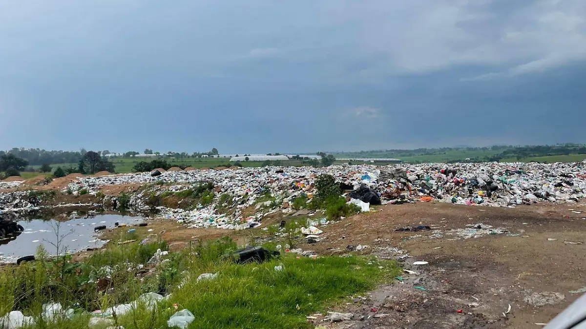 21ac6a7e-4066-40aa-81db-5cf5e364c907