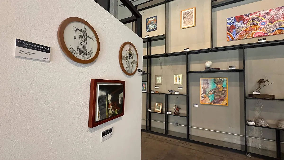 WhatsApp Image 2026-02-27 at 14.35.28