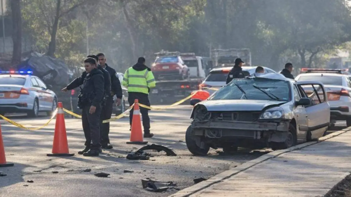 WhatsApp Image 2026-03-01 at 10.26.50 (1)