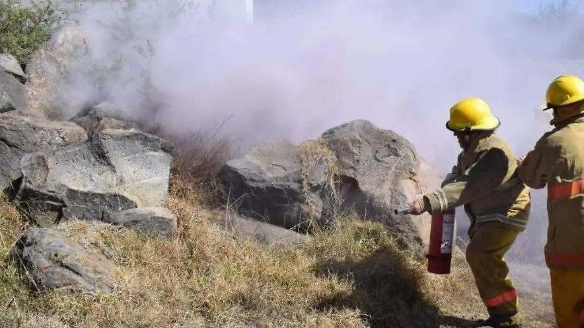 WhatsApp Image 2026-03-01 at 13.53.38