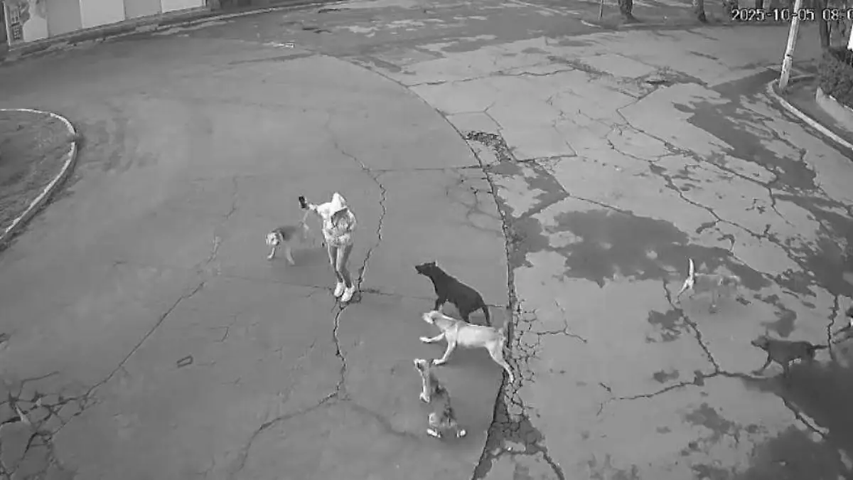 WhatsApp Image 2026-03-01 at 3.22.12 PM