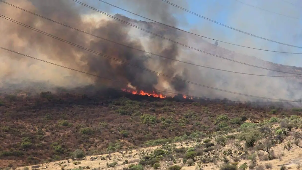 5f6c6f13-4a81-4a9c-aacd-7dce379c7fad