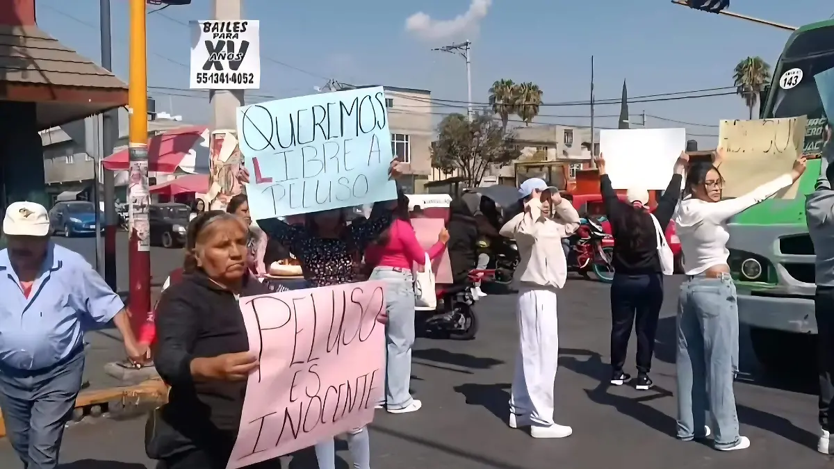 protesta detenidos 4