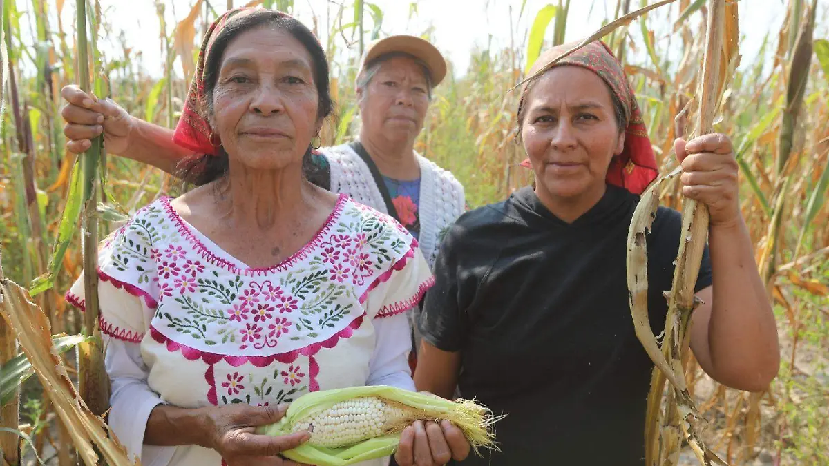 646847707_1319296816896807_180041560939890721_n