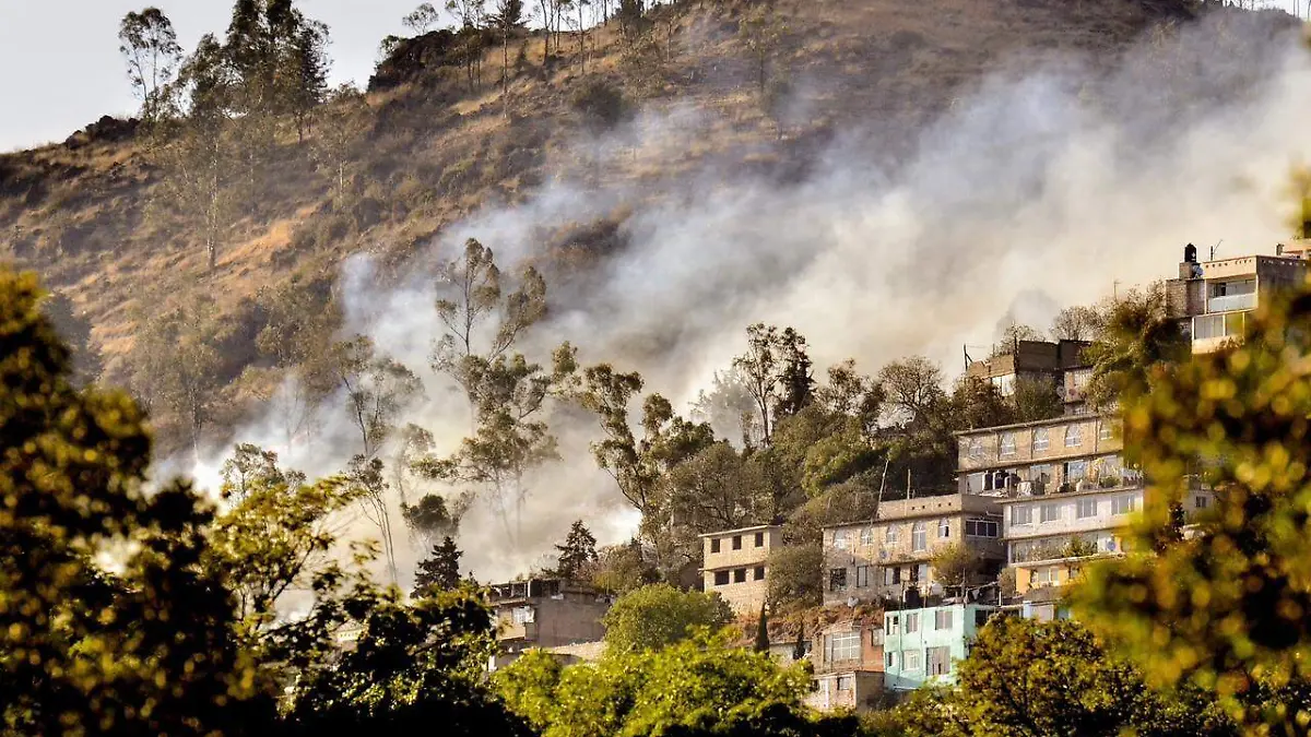 WhatsApp Image 2026-02-28 at 4.44.33 PM