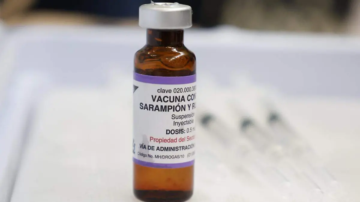 WhatsApp Image 2026-02-17 at 10.19.39 AM