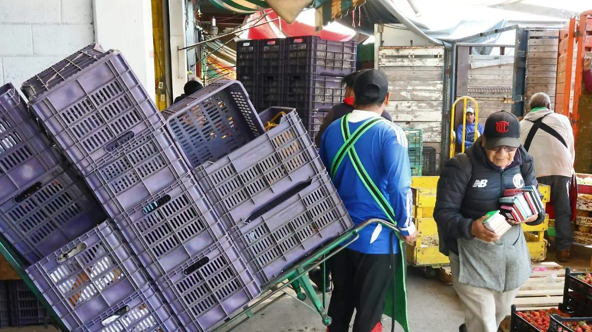 estibador-central-de-abasto-toluca