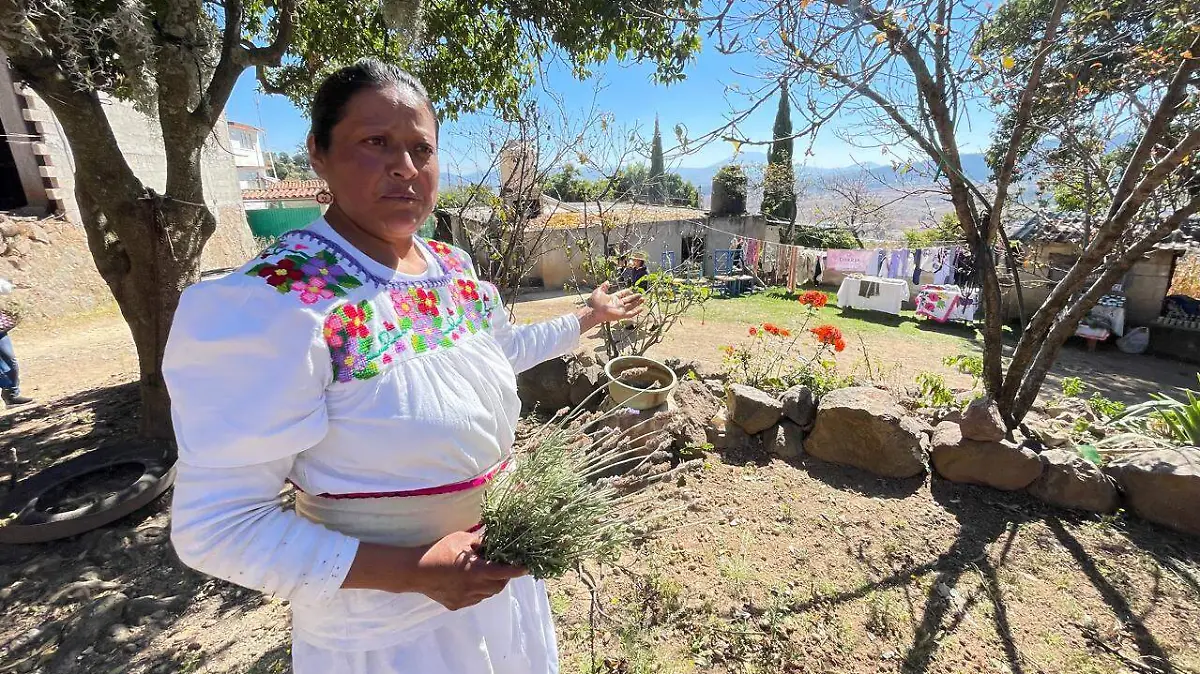 c77112f9-9b1a-4104-b318-0069cc2acba1