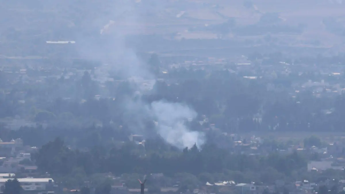 WhatsApp Image 2026-02-17 at 2.47.46 PM