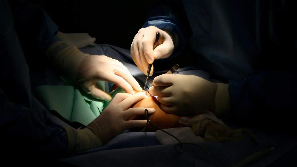 WhatsApp Image 2026-03-09 at 8.21.11 PM