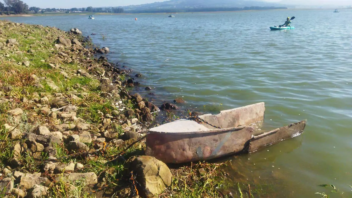 WhatsApp Image 2026-02-08 at 5.24.27 PM