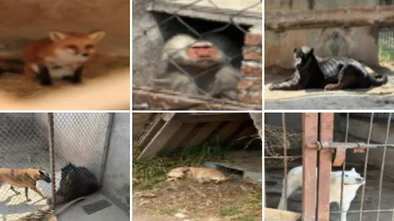 a942284a-32c7-4579-9ae7-f97cd5609dfa