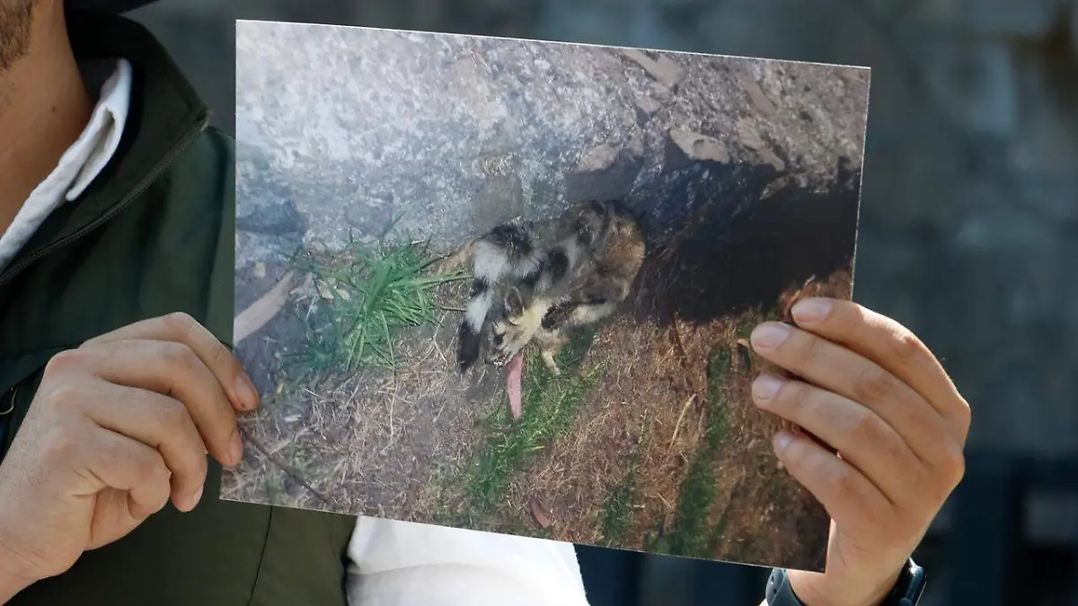 c28c6bae-da59-4d2e-be91-a5daad33753f