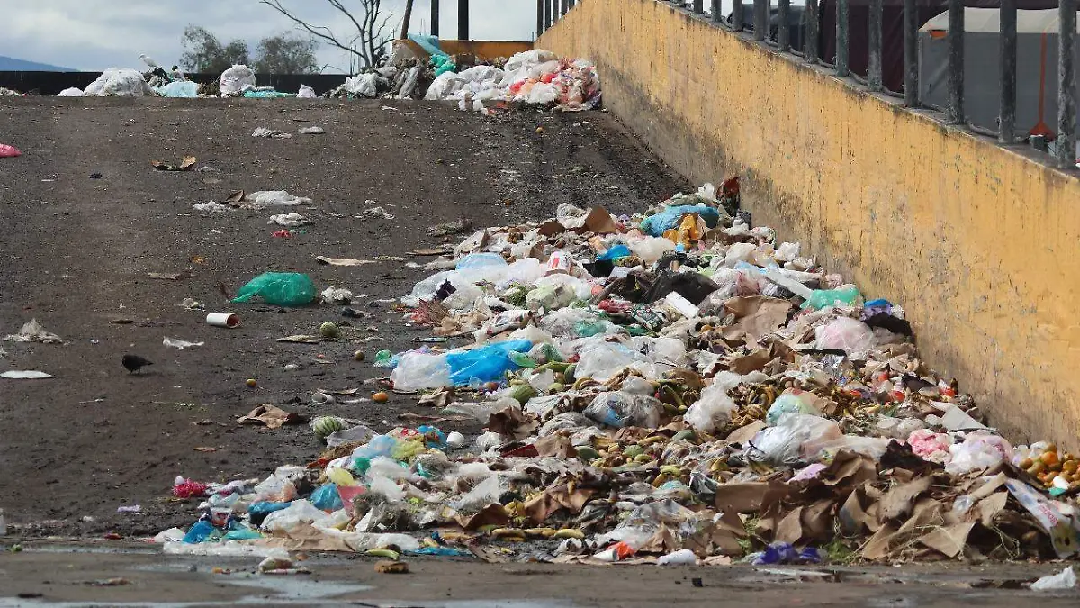 CENTRAL_DE_ABASTOS (4)