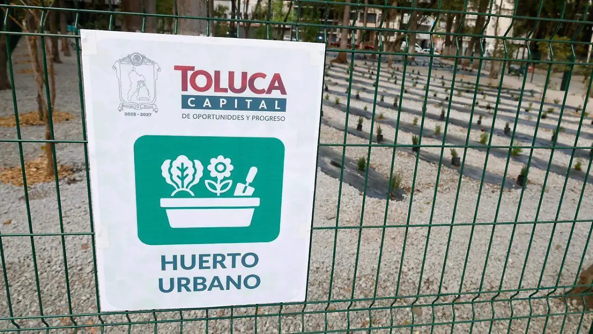 inauguración alameda 5