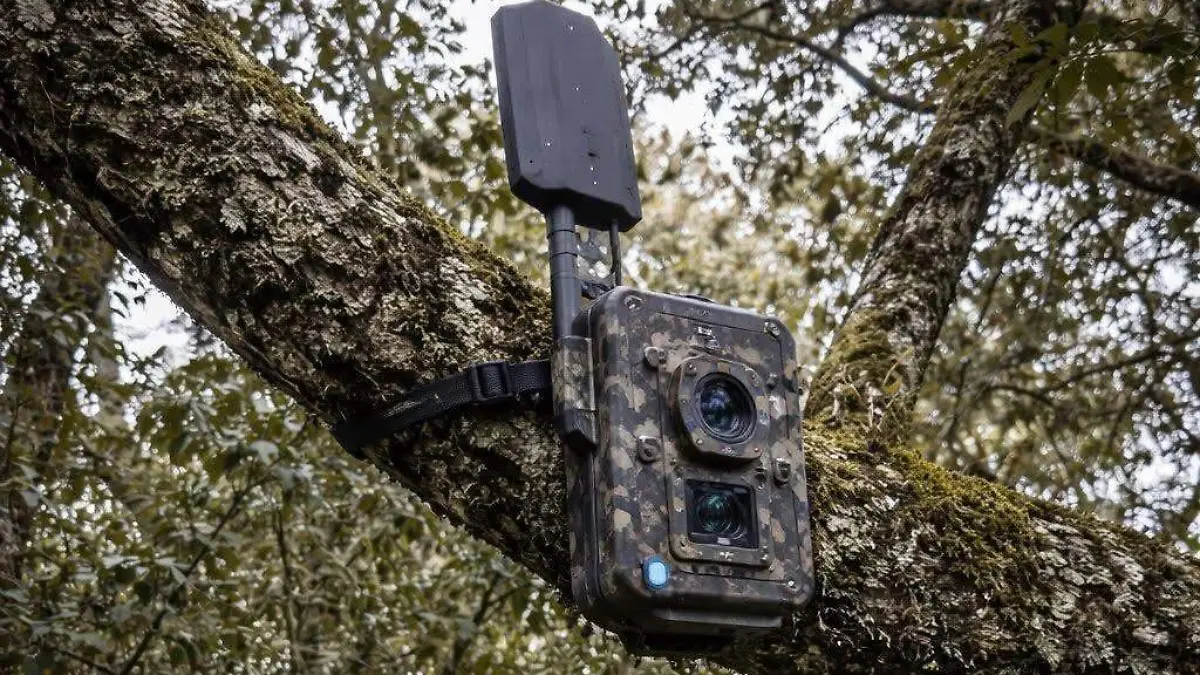 92699dda-545a-4b58-9fca-f86ab4c8cefe