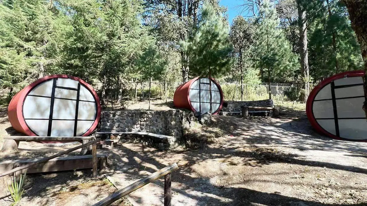 entrada.jpg