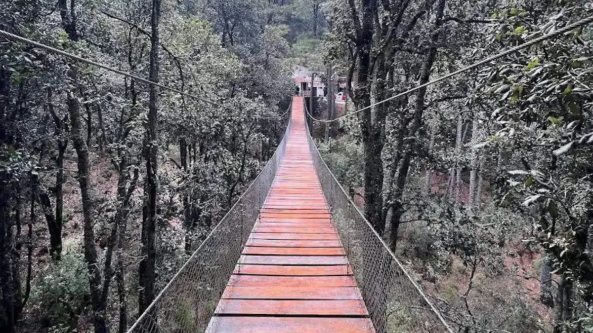 puente colgante