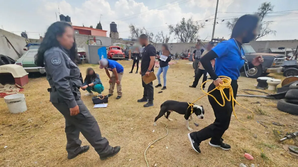 0a5ebd9d-4a1d-4852-a75f-bea84fc319f7