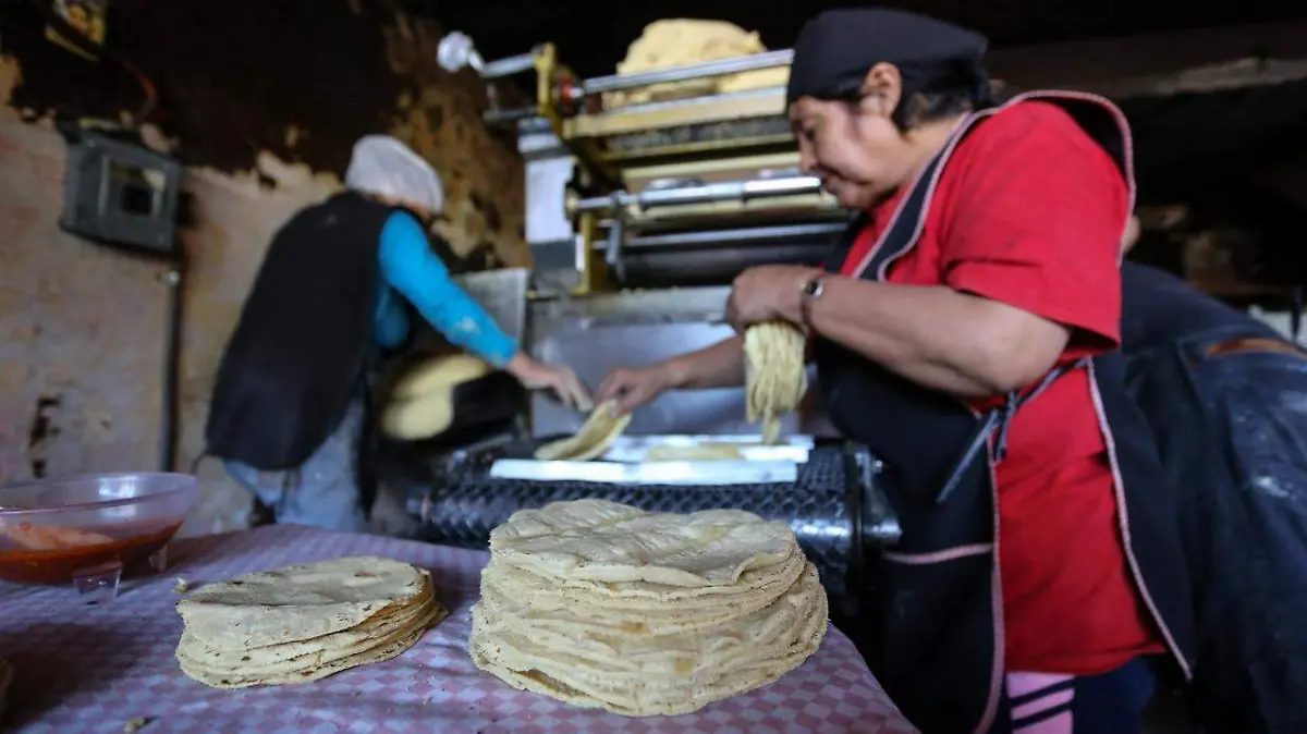 WhatsApp Image 2026-02-15 at 5.15.55 PM