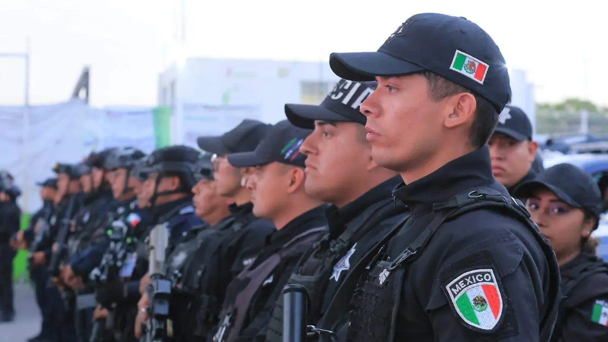 WhatsApp Image 2026-03-16 at 1.28.51 PM