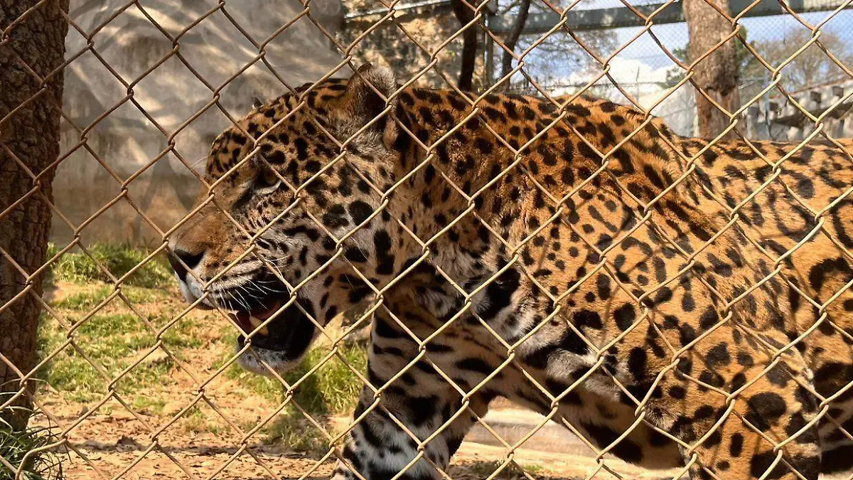 9c0afe94-48e8-4014-bf20-2c8309eb3480