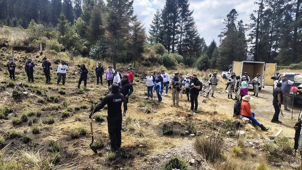 busquedas-personas-desaparecidas-la-marquesa
