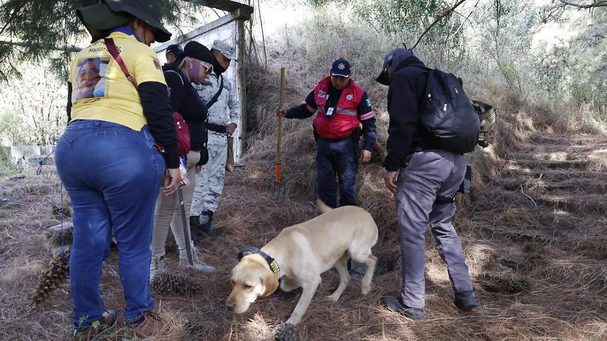 72d75b85-68a7-488e-b8c2-151083654098