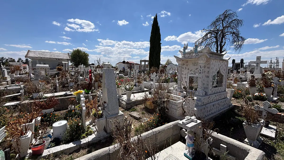 WhatsApp Image 2026-03-19 at 3.31.09 PM