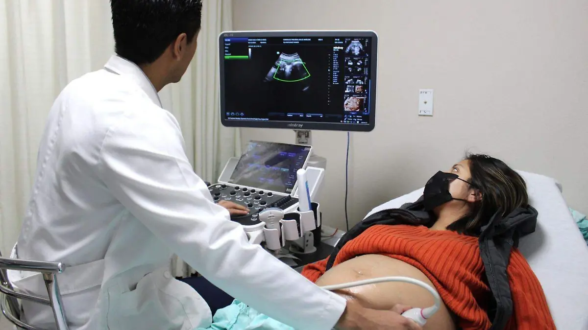 WhatsApp Image 2026-03-19 at 8.13.53 PM