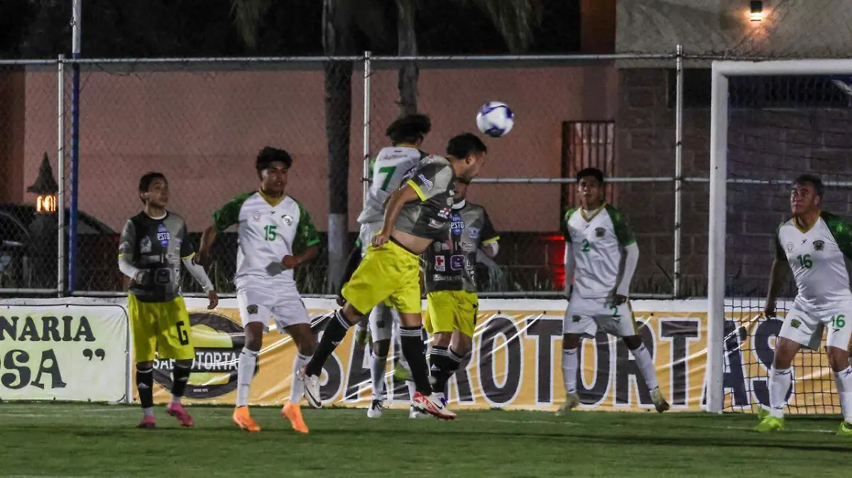 667b49b3-077d-459e-96b0-2b34c53293d1