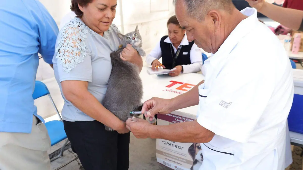 WhatsApp Image 2026-03-21 at 10.27.00