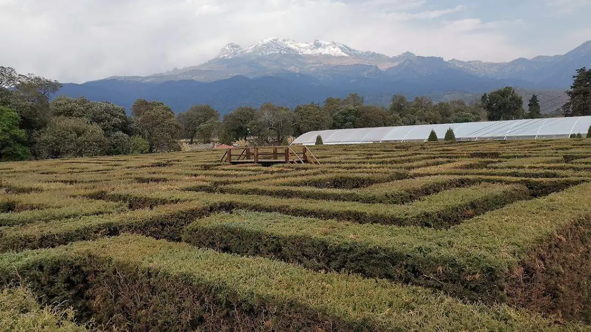 WhatsApp Image 2026-03-21 at 10.32.41